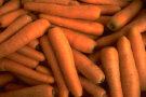 trianglenholdings003002.jpg