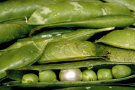 trianglenholdings003003.jpg